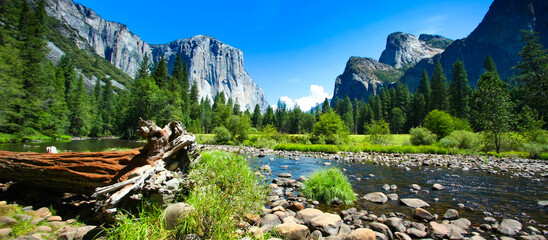 Obraz premium Scenic Valley View of Merced River, El Capitan and Cathedral Rocks in Yosemite National Park
