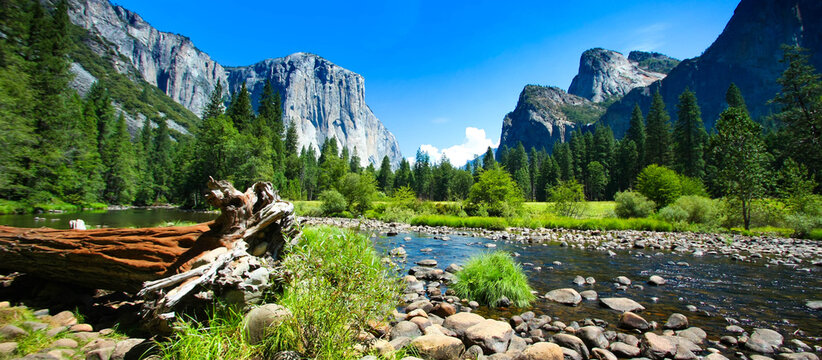 Scenic Valley View of Merced River, El Capitan and Cathedral Rocks in Yosemite National Park