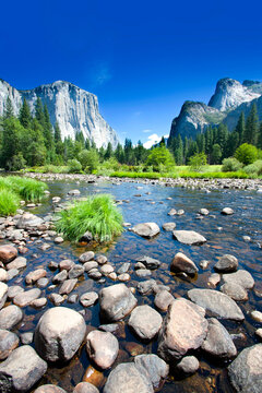 Scenic Valley View of Merced River, El Capitan and Cathedral Rocks in Yosemite National Park