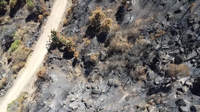 VIDEO AEREO CENITAL DE UNA PAISAJE QUEMADO EN EL VALLE DE IRUELAS Y PANTANO DEL BURGUILLO AVILA 