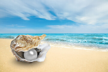 Oyster with pearl on sandy beach by sea © New Africa