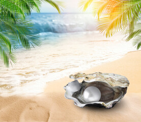 Oyster with pearl on beach under palm leaves by sea © New Africa