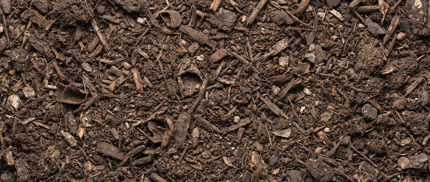 Aged mushroom substrate showing dark weathered biomass, softened fibers, and scattered mineral pieces across an earthy surface