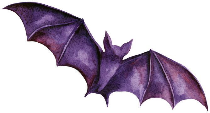 Water color illustration of bat for Halloween on transparent background