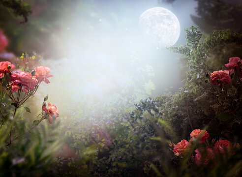 Fantasy whimsical enchanted fairy forest with rose flowers and moon at mystical night garden, fairytale magical landscape, mysterious background with whimsy wood and empty copy space.