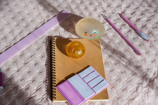 Flat lay of cute kawaii dumpling squish toys and stationary on pink blanket