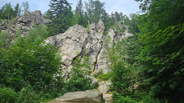 Rock climbers scaling steep granite cliffs surrounded by green pine forest in Krkonose National Park