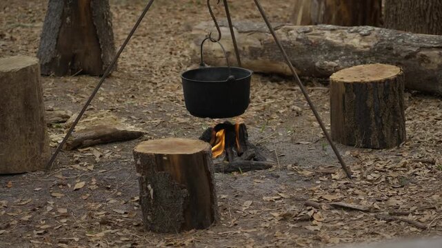 A campfire burns under a cast-iron cauldron on a metal tripod. Wooden tree stumps. Tourist camping. Ecotourism recreation.