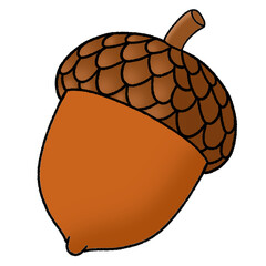 acorn and oak leaf © Mohamed
