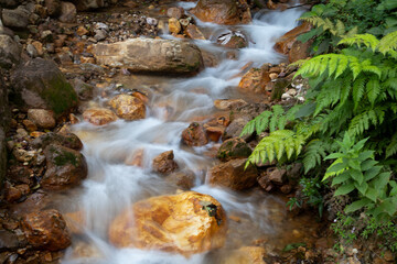 Silk River  © Daniel