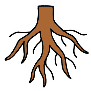 Minimalist Tree Roots Illustration