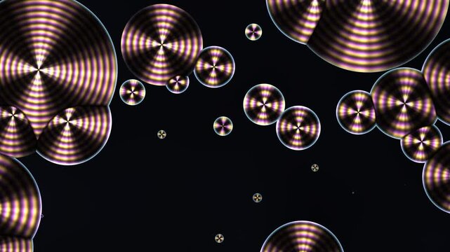 Polymer Spherulites with Maltese Cross Growing under Crossed Polars Birefringence Microscopy Seamless Loop in soft gold tones