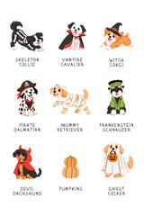 Fototapeta premium Dogs in Halloween costumes clipart set, skeleton, vampire, witch, pirate