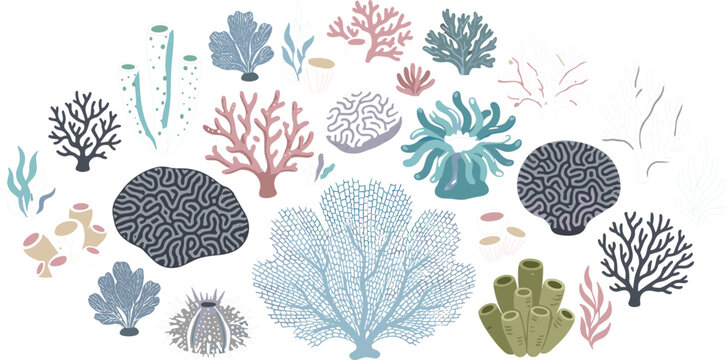 Undersea coral reef vector set featuring sea anemone brain coral ocean sponge fan coral and aquatic botanical plants.