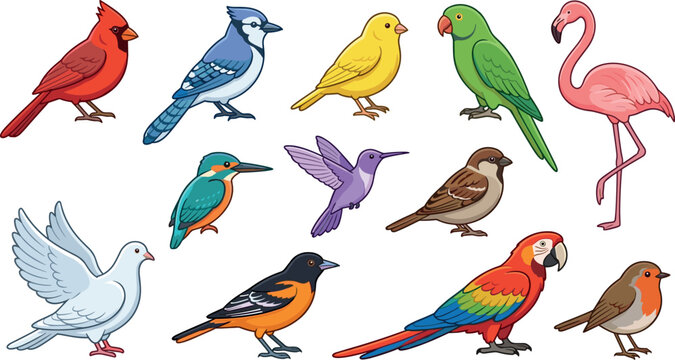 Cute colorful birds cartoon vector icon set with cardinal bluejay parrot flamingo dove and exotic species illustration