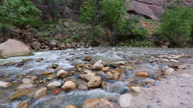 Water flowing over smooth rocks in the Virgin River in Zion National Park, Utah