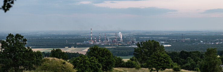 Panorama w terenie leśnym obszarów zielonych w zachodniej Polsce o letniej porze roku w wieczornych godzinach © mbugajsky