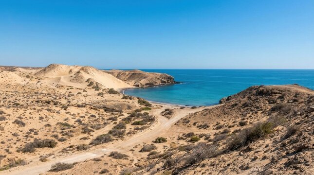 Scenics from coastal beaches where desert meets calm blue sea