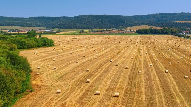 Harvested field dotted with round straw bales. Rows of cut stalks extend toward wooded hills, with trees bordering the left edge beneath clear skies.