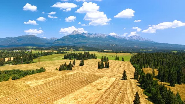 Harvest patterns in farmland beneath a mountain range. Parallel cut rows curve around tree clusters below the High Tatras beneath white clouds.