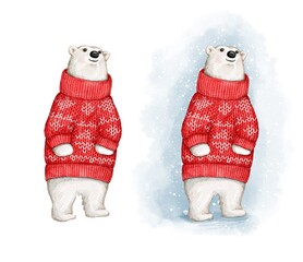 Cute Illustration of a Polar bear. Hand drawn © evakaterina