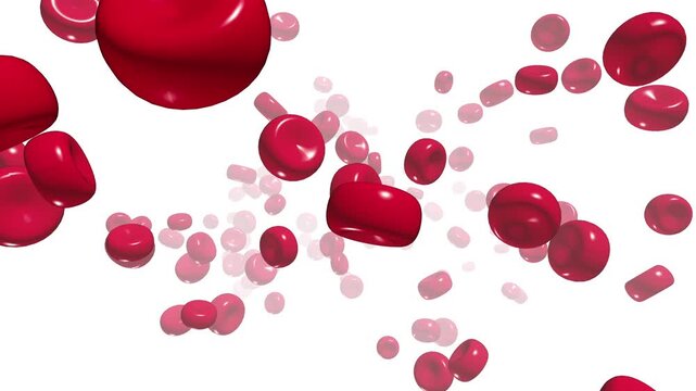 Realistic Blood Cell Flowing Through Human Vein