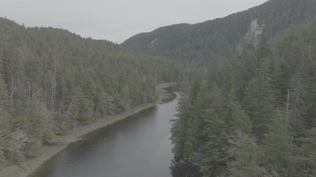 Misty river winding through a forested mountain valley