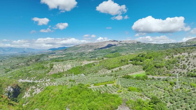 Olive groves, farms and fields over Road E45 from a drone, Polla, Salerno, Campania, Italy
