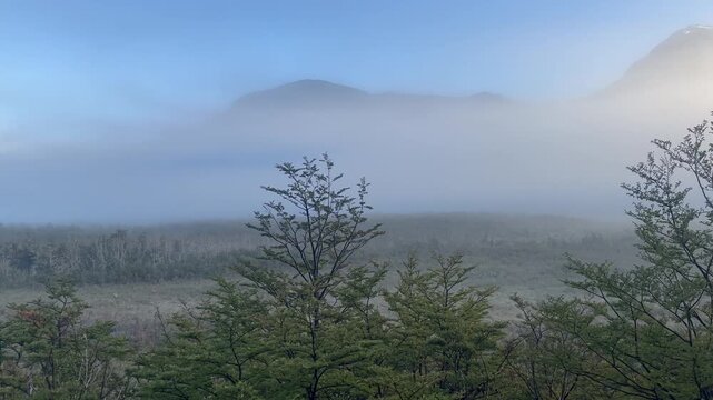 Glaciated peak of Cerro Tronador in the morning light, fog in the Valle de Pampa Linda, Nahuel Huapi National Park, Rio Negro Province, Argentina