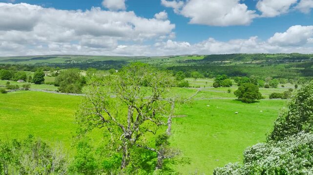 Farms and Fields over River Ure from a drone, North Yorkshire, England, United Kingdom