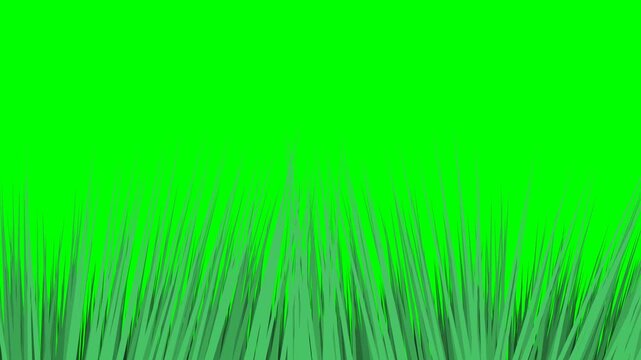 Green Grass Blades Growing Border on Chroma Key Green Screen Background for Video Compositing