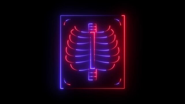 Human Spine Anatomy with Medical Illustration