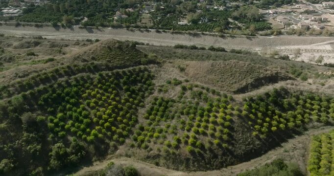 Aerial View of Planted Rows Across Hillside