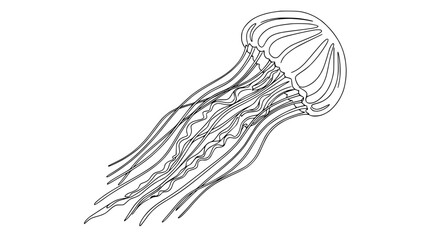 Fototapeta premium Jellyfish Outline Drawing, Isolated Transparent Background