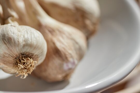 Whole heads of longneck garlic