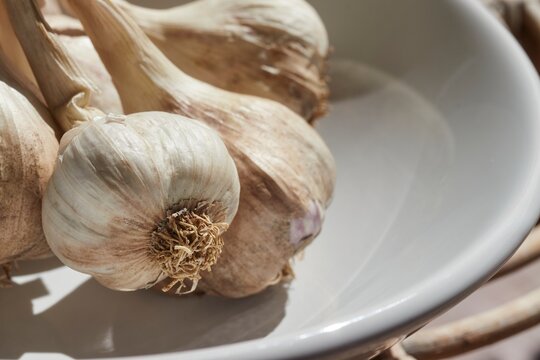 Whole heads of longneck garlic
