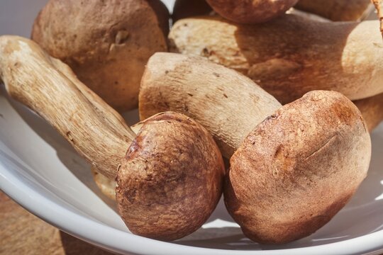 Porcini mushrooms, fresh, whole, and raw, in a white bowl.