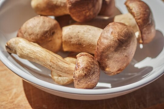 Porcini mushrooms, fresh, whole, and raw, in a white bowl.