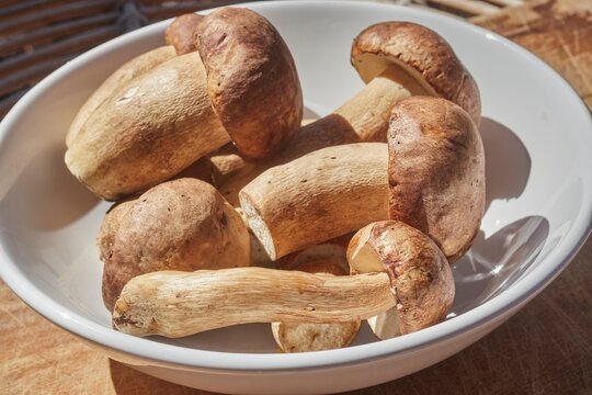 Porcini mushrooms, fresh, whole, and raw, in a white bowl.