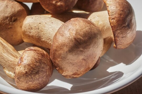 Porcini mushrooms, fresh, whole, and raw, in a white bowl.