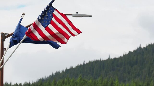 The american flag blowing in the wind on a metal lamp post against forested mountains.