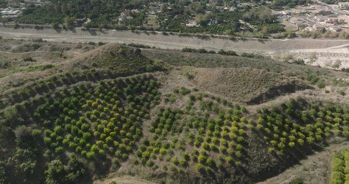 aerial view of agricultural fields with crop rows