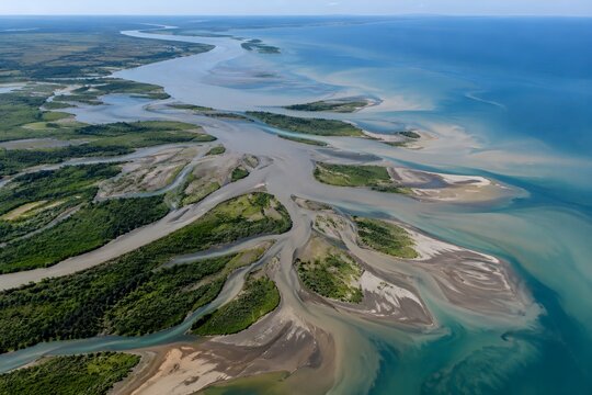 Aerial View of River Distributaries and Sediment Deposits