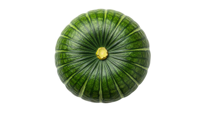 View of a round green kabocha squash with ribbed texture