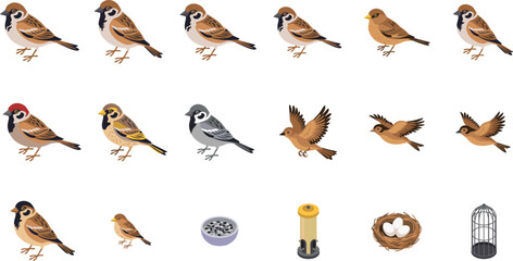 Fototapeta premium Cute sparrow bird vector illustration set featuring small brown avians nest eggs feeder and cage isolated on white background.
