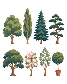 Tree Clipart Collection with Deciduous, Evergreen, Conifer, Flowering and Potted Trees