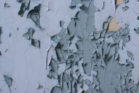 Peeling paint on the wall. Old concrete wall with cracked flaking paint. Weathered rough painted surface with patterns of cracks and peeling. High resolution texture for background and design. Closeup