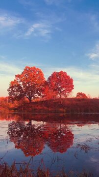Vibrant autumn trees reflected in lake