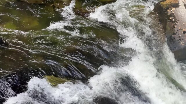 A detailed close up shot showcasing fast moving mountain river water twisting and churning into white rapids over submerged rocks.