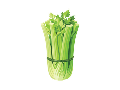 Flat Illustration Bundle of Fresh Celery Stalk with Green Leaves